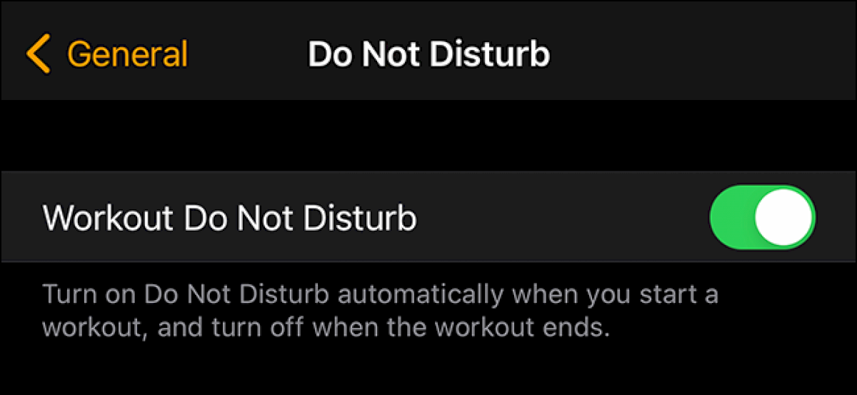 come-abilitare-non-disturbare-durante-gli-allenamenti-su-apple-watch