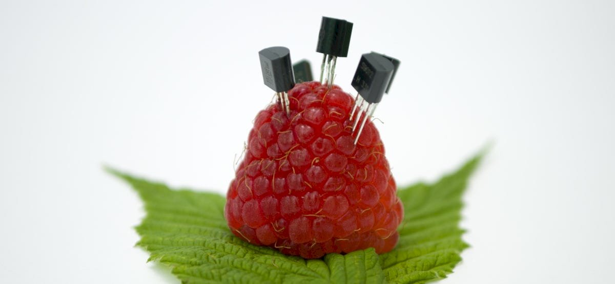 come-rendere-il-tuo-raspberry-pi-simile-a-windows-o-macos