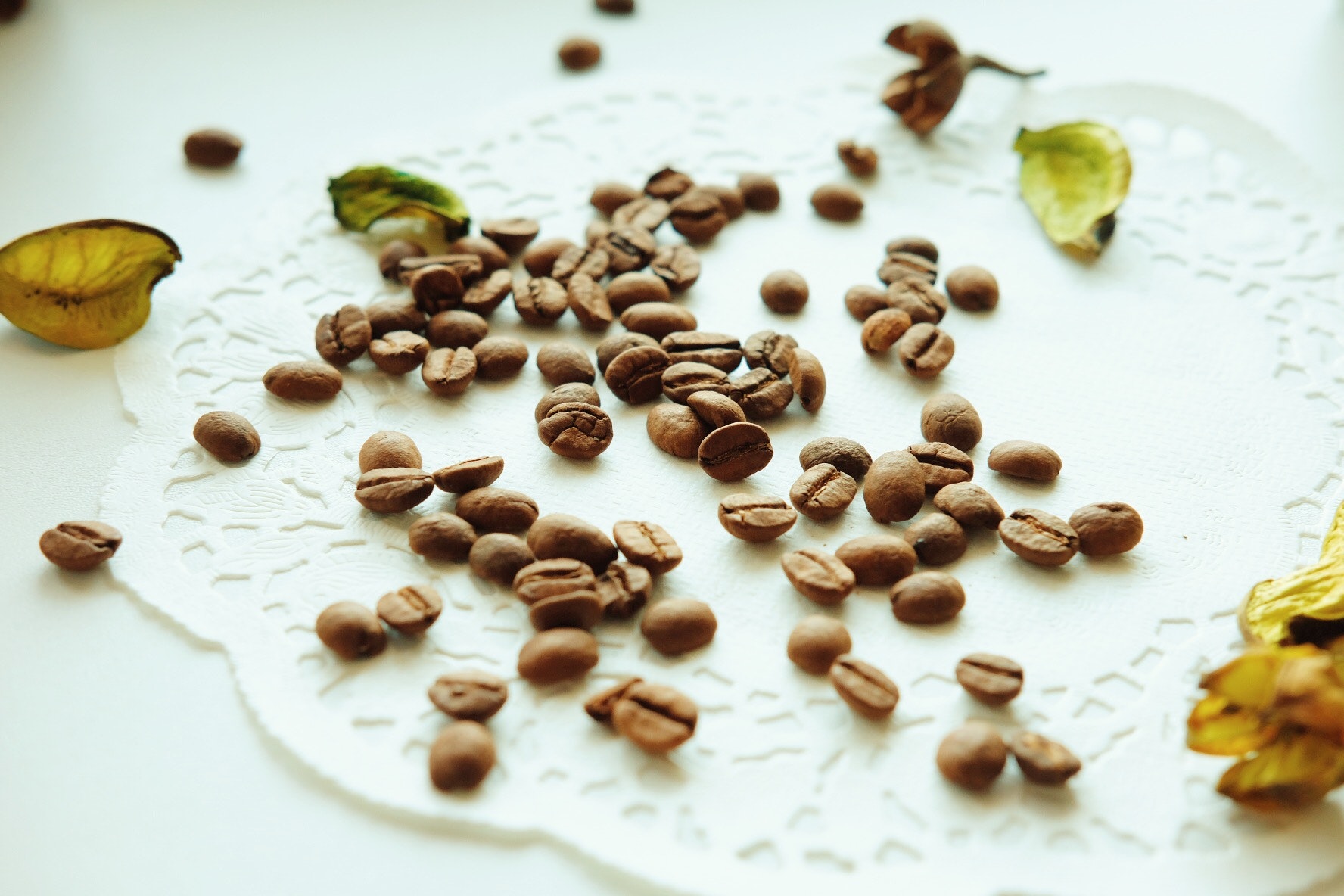 cacao e caffè siccità