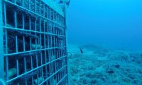 l’affinamento in mare dello champagne