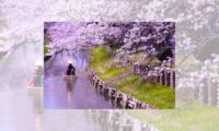 koedo-kawagoe-spring-boat-tour:-un'esperienza-come-nessun'altra