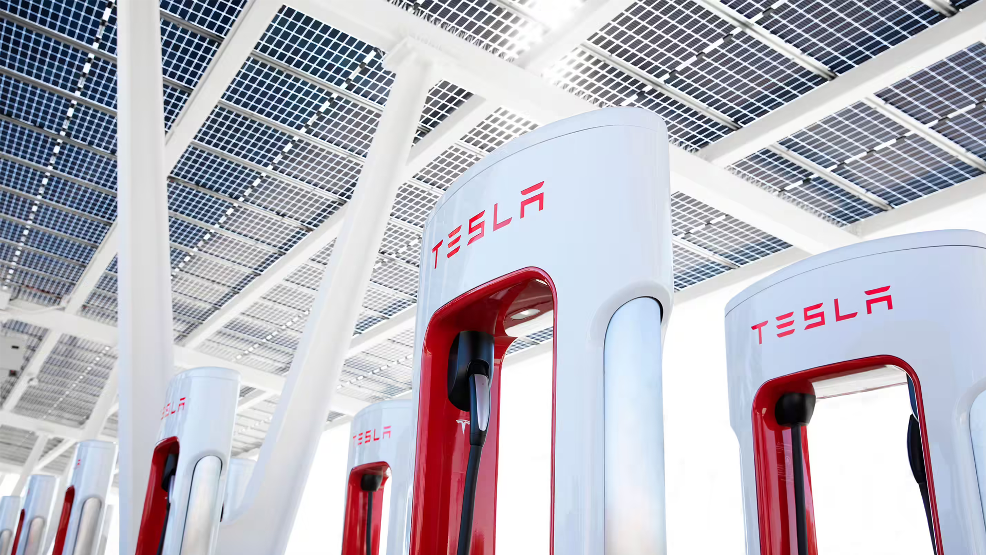 tesla-accetta-di-consentire-ad-altri-veicoli-elettrici-di-utilizzare-i-suoi-caricabatterie-statunitensi