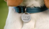 ring-srotola-le-medagliette-degli-animali-domestici-per-aiutarti-a-trovare-fido