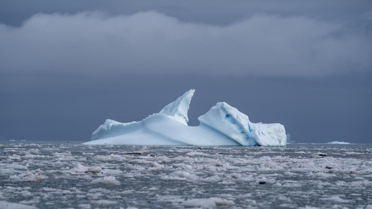 una-rete-neurale-puo-mappare-grandi-iceberg-10.000-volte-piu-velocemente-degli-esseri-umani