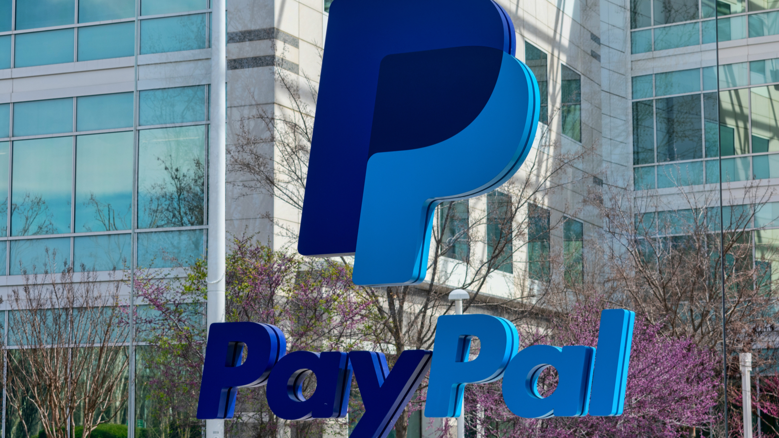 Le azioni PayPal si preparano per uno traordinario 2024