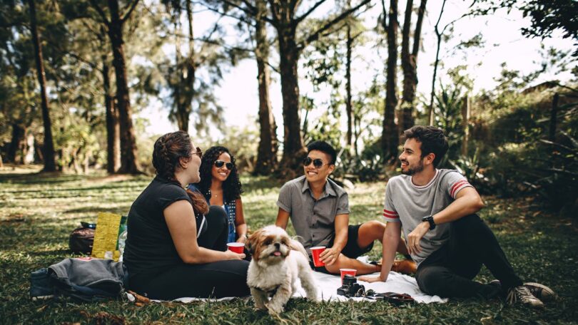 Picnic