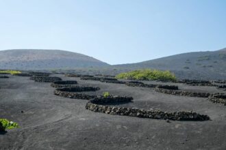 Lanzarote